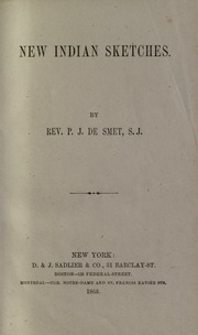 Cover of edition newindiansketche00smetrich