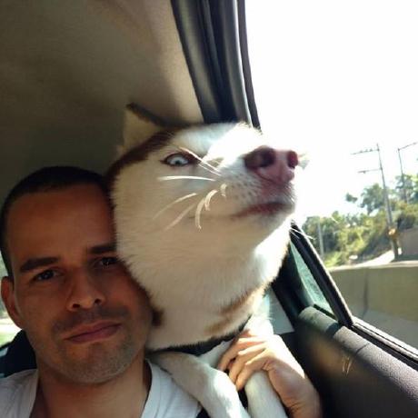 @douglaspinheiro-dev