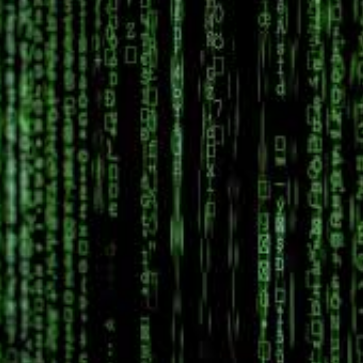 @viniciustavanoferreira