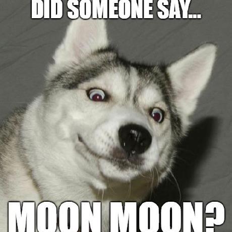 @HuskyMoonMoon