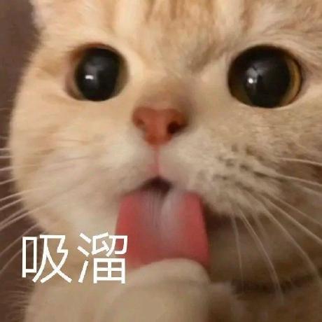 @zxc67373
