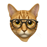 Photo of Austing Dong