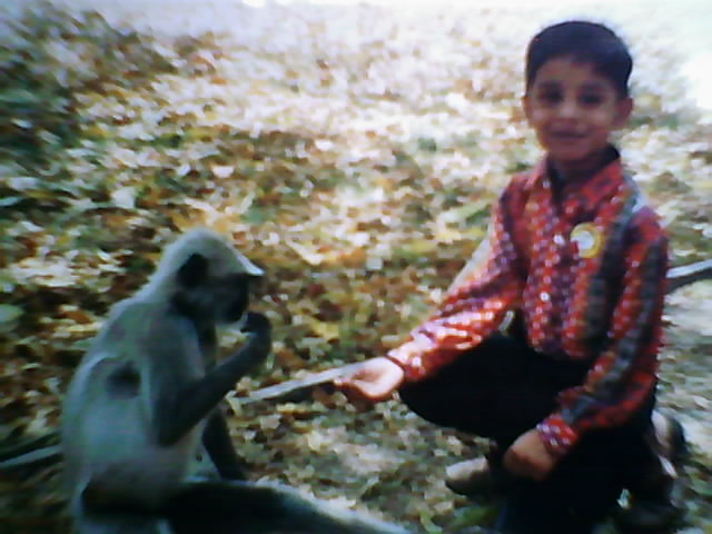 Monkey Business