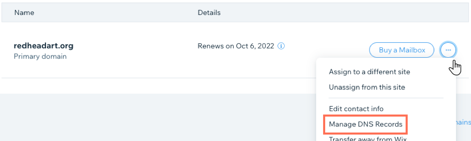 A screenshot showing where to click to see manage DNS records.