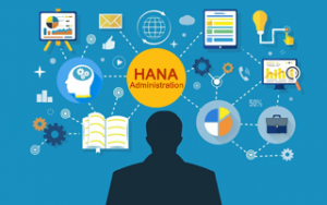 SAP HANA Administration Online Training