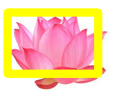 Rectangle is drawn using the OpenCV Python Library