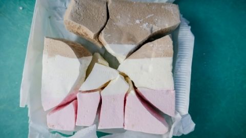 freeze dried ice cream