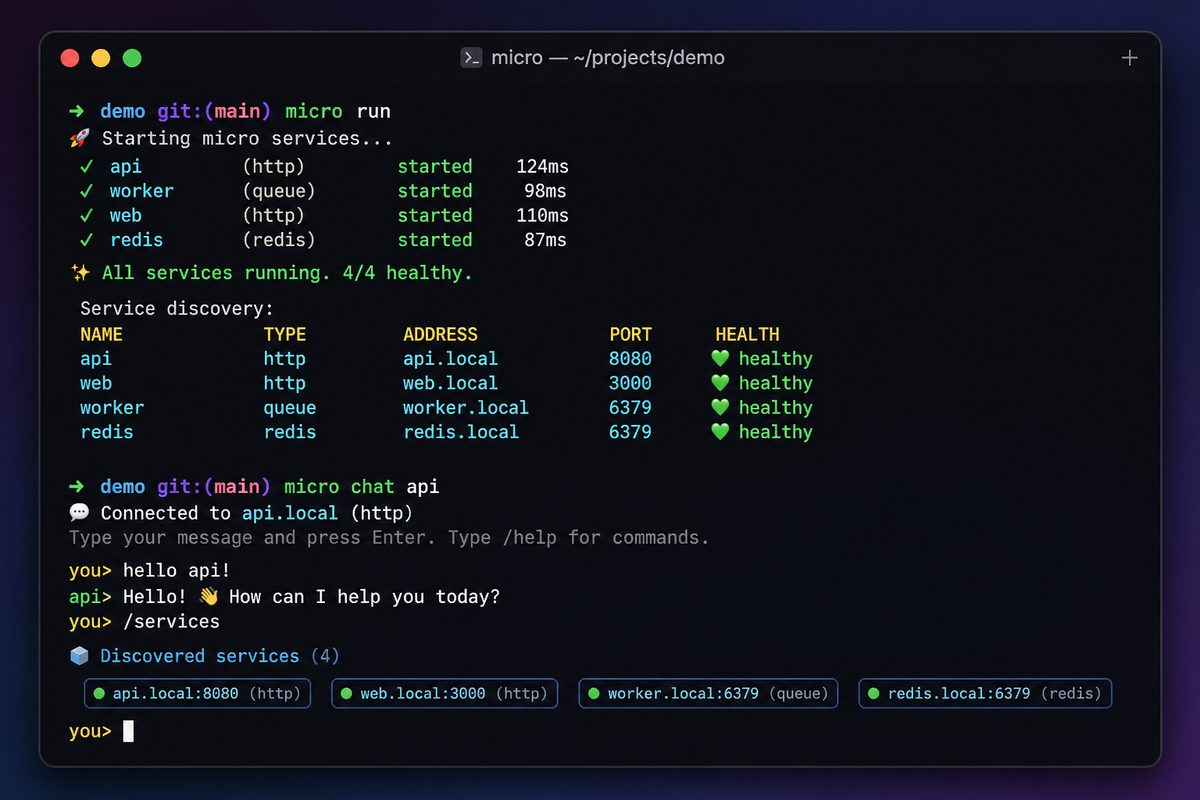 Terminal showing micro run and micro chat