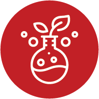 BIOCHEMICAL ENGINEERING AND BIOTECHNOLOGY