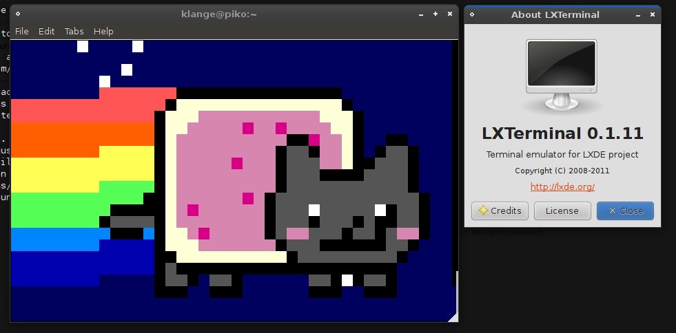 Inside of LXTerminal