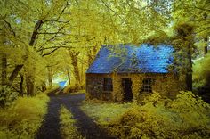 an old cabin in the woods with blue roof