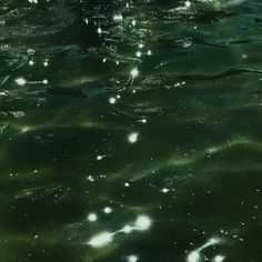 the water is very dark and green with little white dots on it's surface