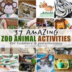 the collage shows different activities for children to play with