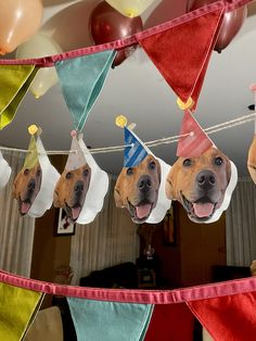 three dogs wearing party hats hanging from a line with balloons and streamers in the background
