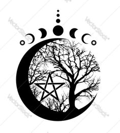 the moon and tree with phases