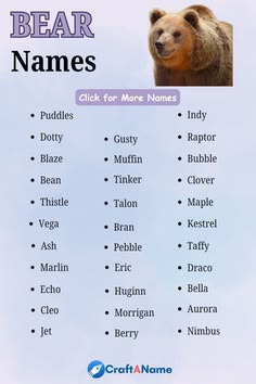 a bear name chart with bears and names
