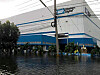WD flood 2 thumb