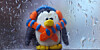 penguin looks through rainy window