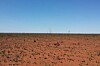 tanami_desert_near_willowra_648