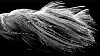 ab fiber optics wave