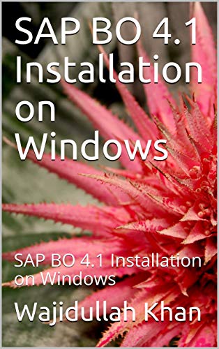 SAP BO 4.1 Installation on Windows
