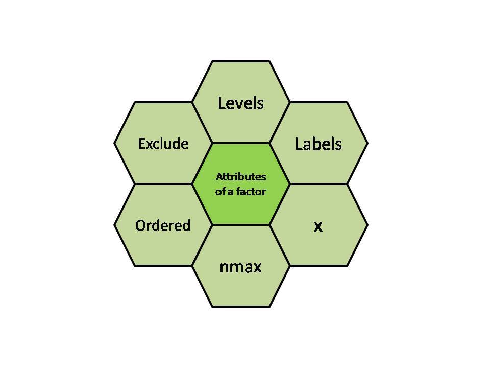 R - Factors GeeksforGeeks