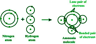 Structure of Ammonia