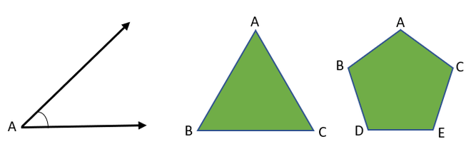 Vertex Definition