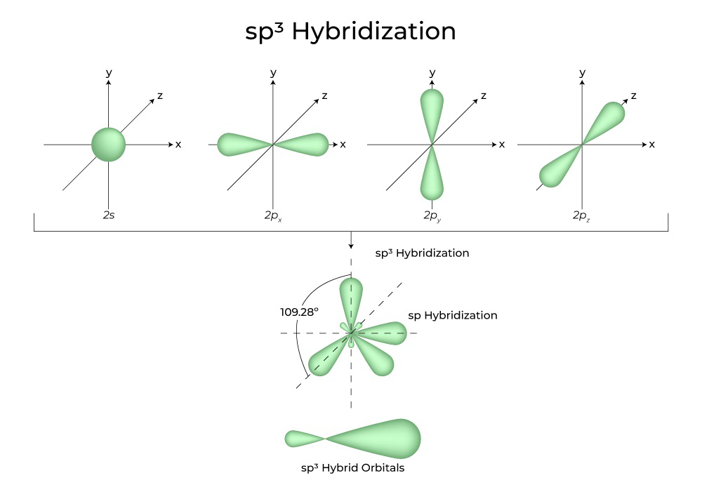 sp3 Hybridization