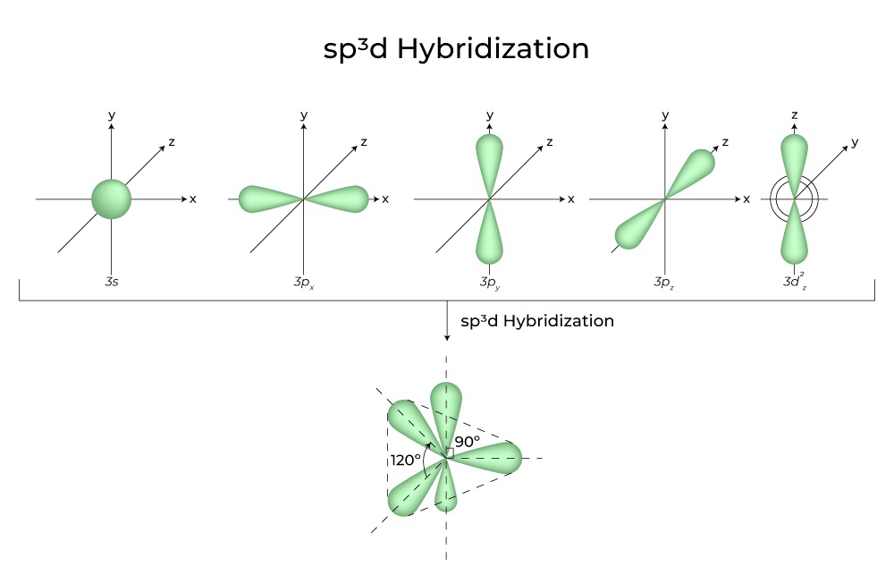 sp3d Hybridization