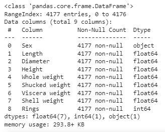 Information of the column's data type