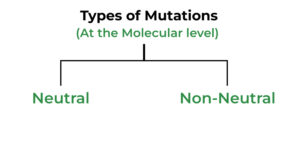 Molecular Mutation
