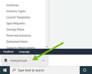 Download the key pair