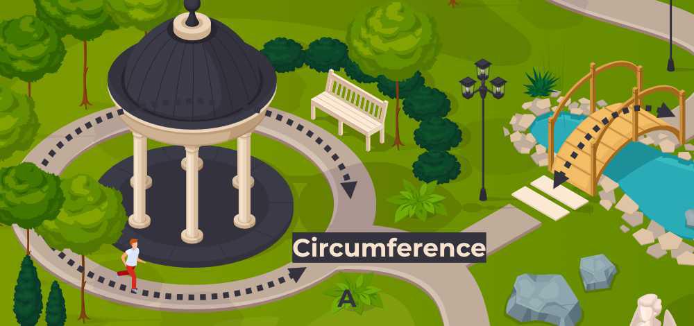 Example of circumference