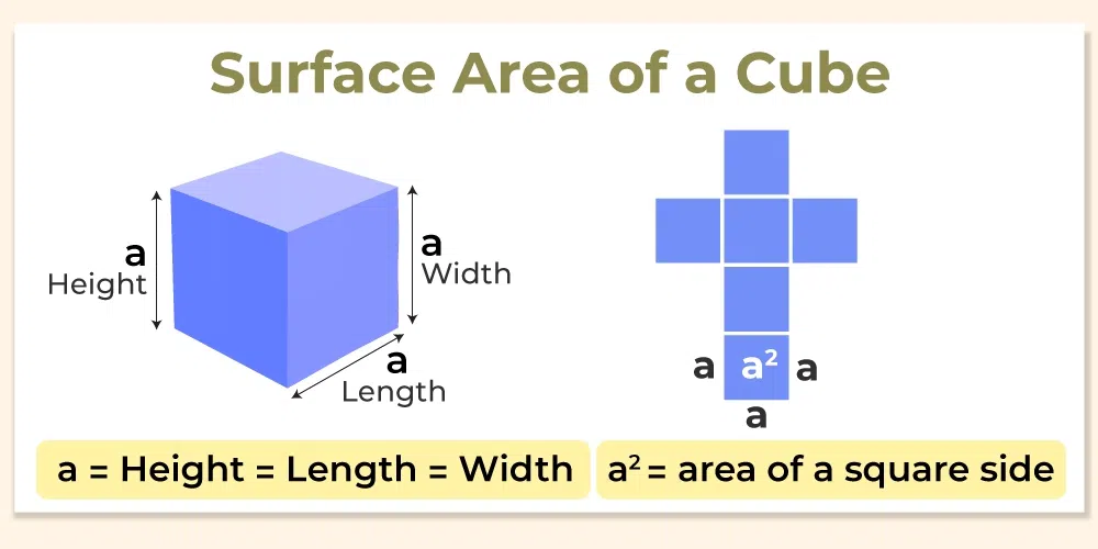 Net Of Cube