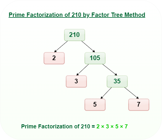 Prime Factorization By Factor Tree Method