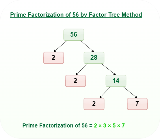 Prime Factorization by Factor Tree Method