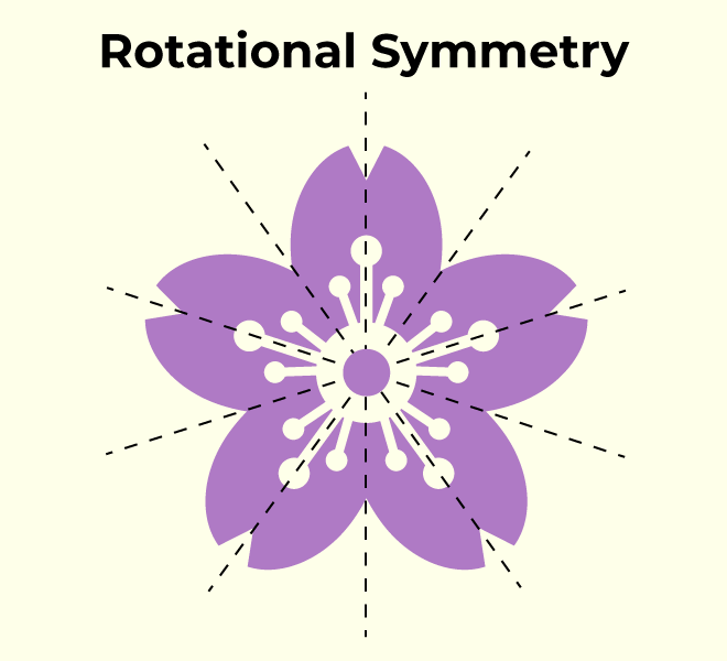 Rotational Symmetry