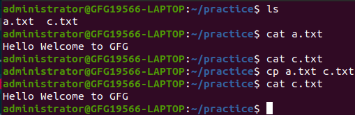 Copy a file in Linux