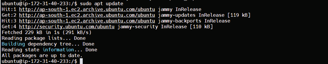 sudo apt update