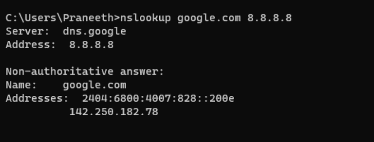 Using-Specific-DNS-Servers-4