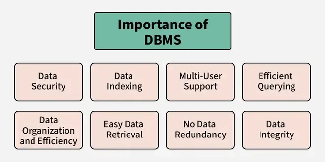importance_of_dbms