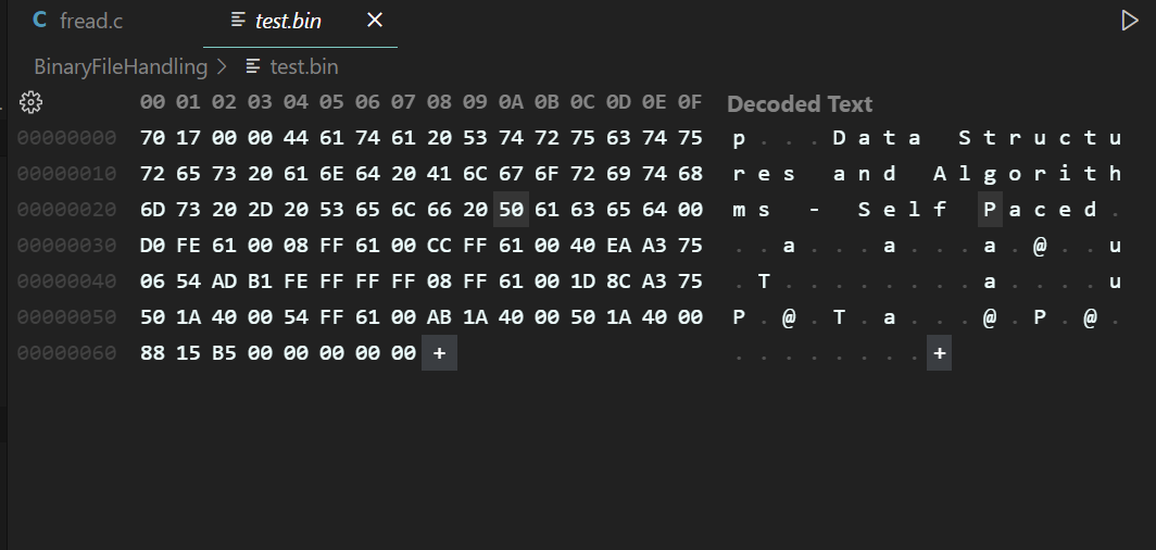 binaryFile
