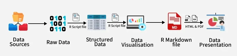 r_markdown_file