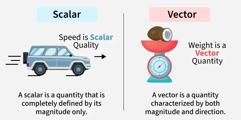 Scalar and Vector