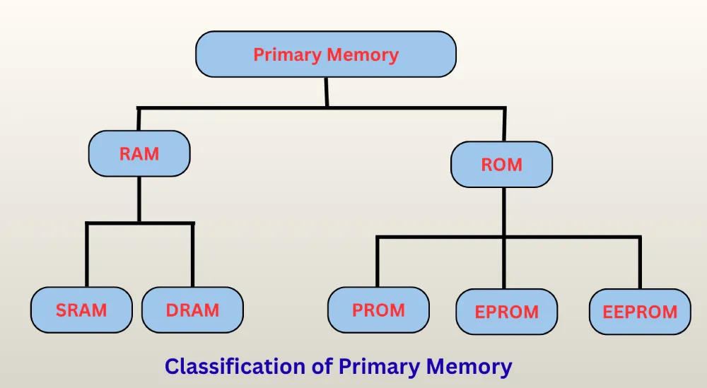 primary-