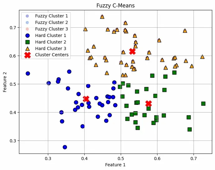 fuzzy