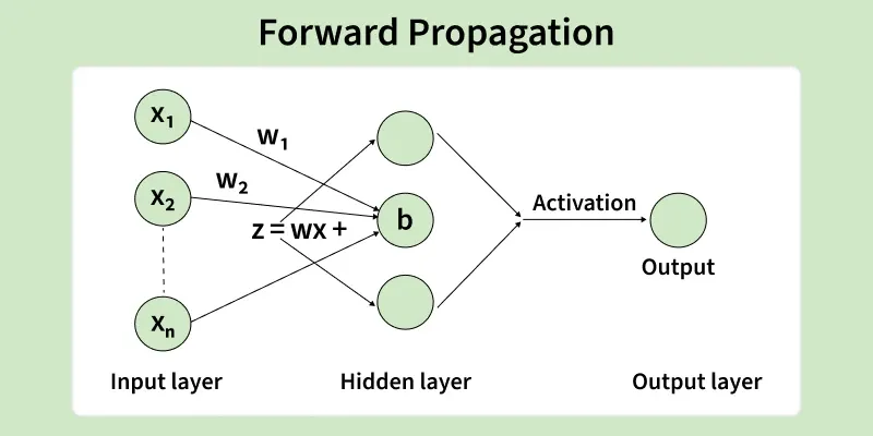 forward_propagation