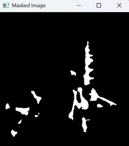 MaskedImage