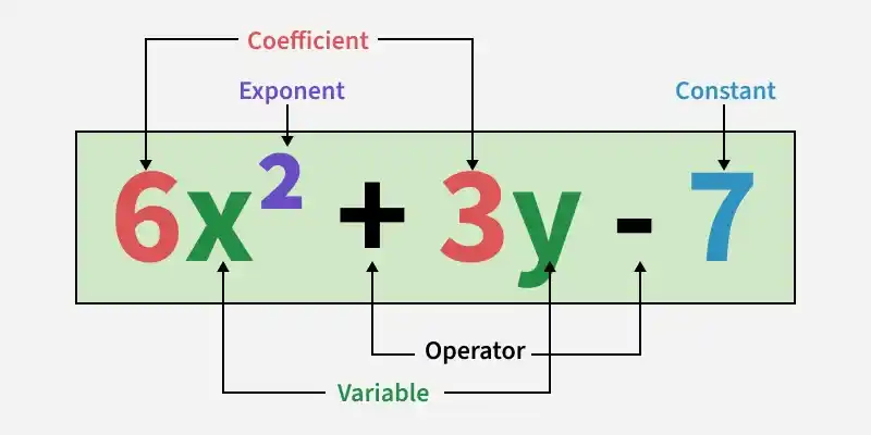 polynomials